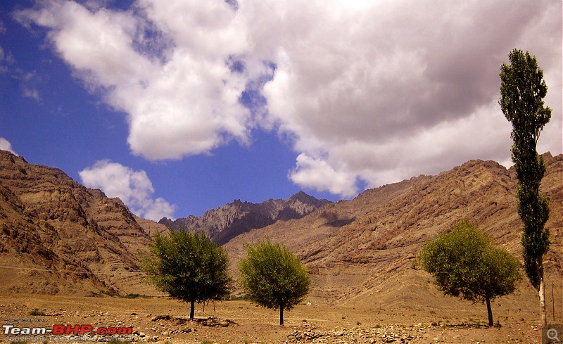 Om Mani Padme Hum - The Jewel called Ladakh-dsc_2066.jpg