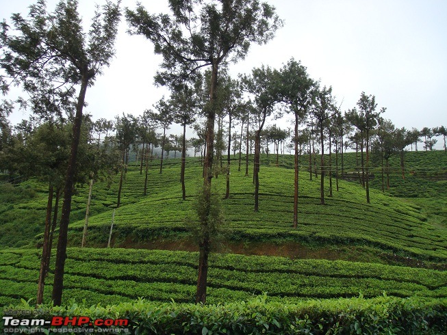 Photoblog of destinations in & around Trivandrum, Kerala-dsc04131.jpg