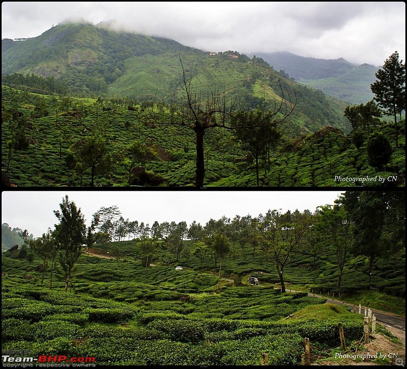 An Incredible Roadtrip to Trivandrum, Velankanni and Mesmerizing Munnar!-9-munnar_adimali_journey.jpg