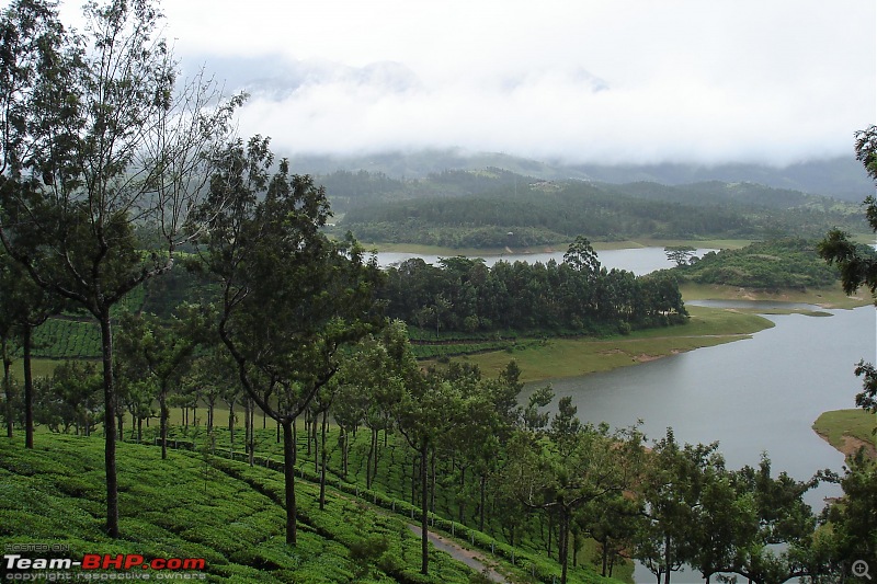 Munnar-dsc00042.jpg