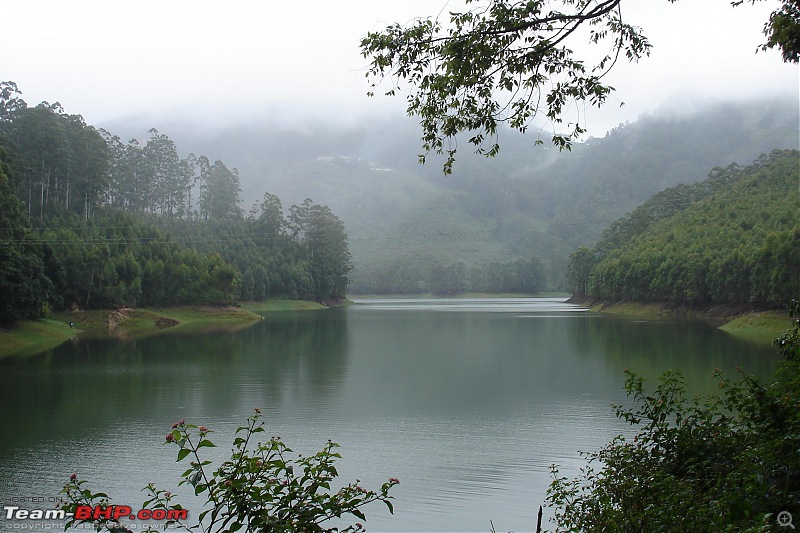 Munnar-dsc00166.jpg