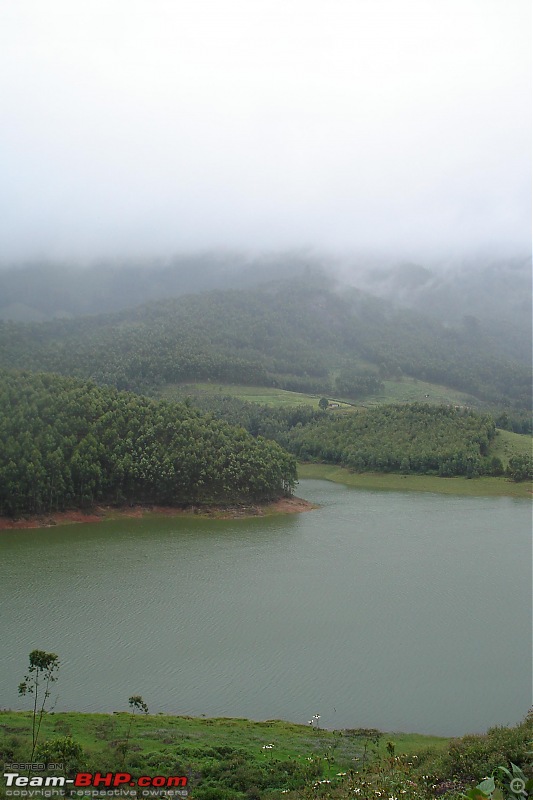 Munnar-dsc00187.jpg