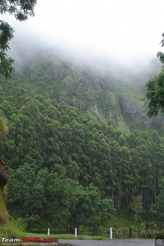 Munnar-dsc00023.jpg