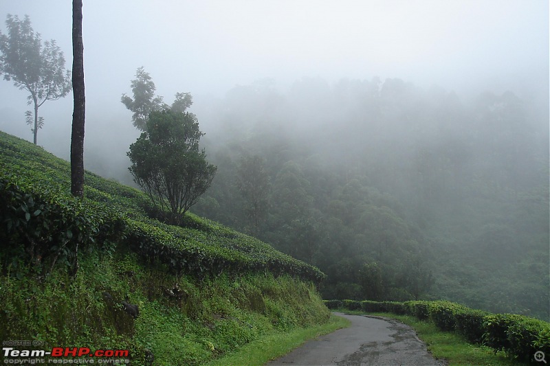 Munnar-dsc00047.jpg