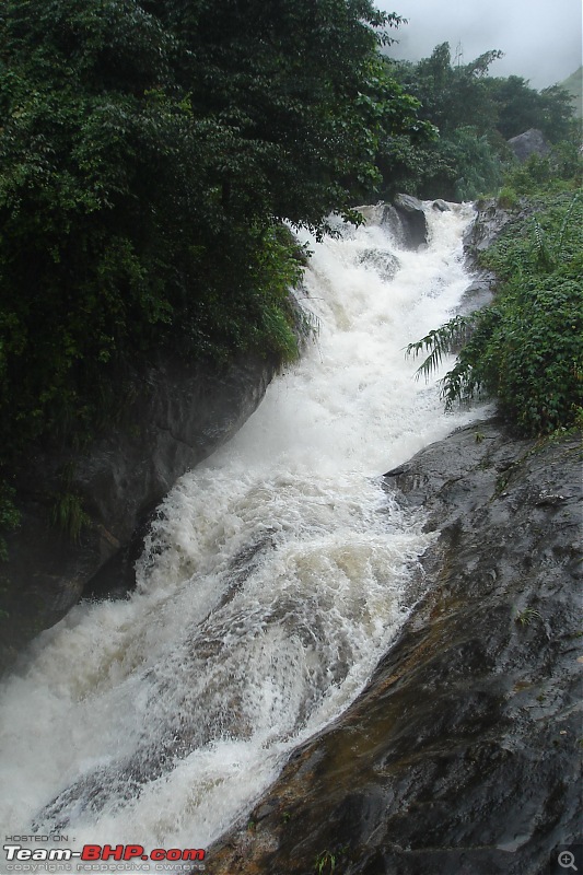 Munnar-dsc00077.jpg