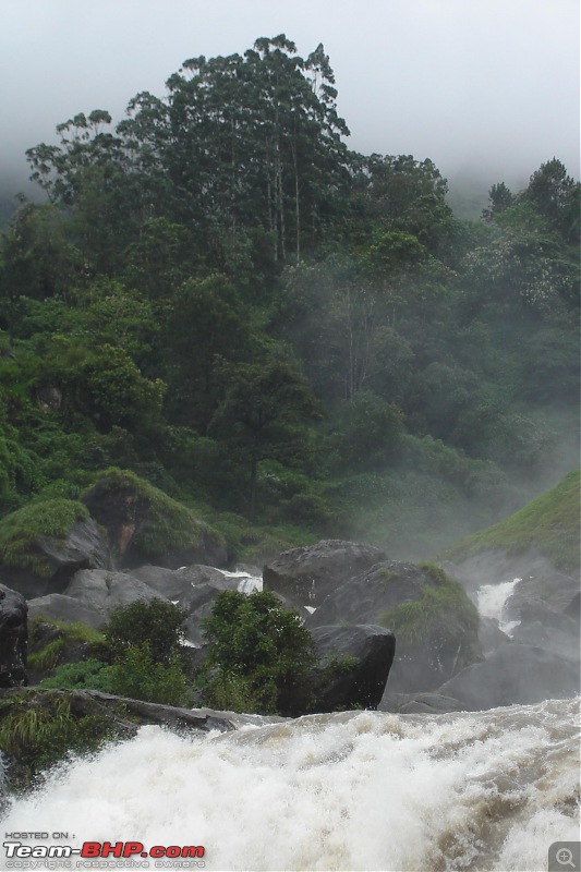 Munnar-dsc00138.jpg