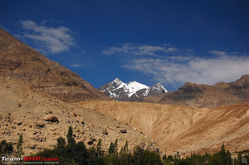 Om Mani Padme Hum - The Jewel called Ladakh-dsc_2675-copy.jpg