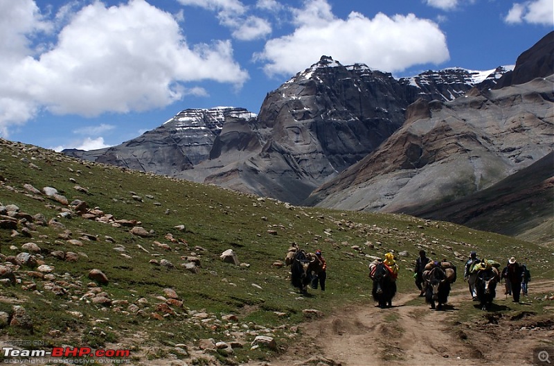 When I Went Walking To Tibet - Kailash Mansarovar Yatra-2011-dsc07425.jpg
