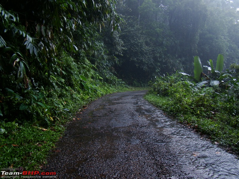 In Search of the Haunted Bungalow at Bonacaud, Trivandrum-dsc00134.jpg