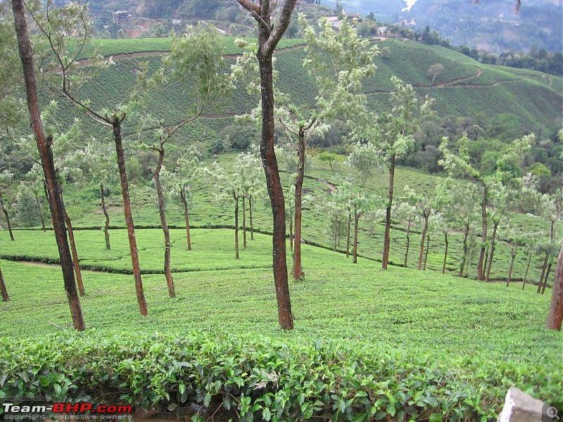 Visit to God's own Country - Kerala-6.jpg