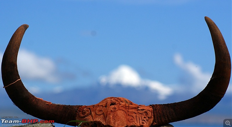 When I Went Walking To Tibet - Kailash Mansarovar Yatra-2011-dsc07794.jpg