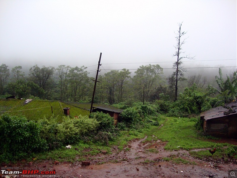 From highest point to the tallest statue in Karnataka..A crazy monsoon travelogue..-dsc05011.jpg