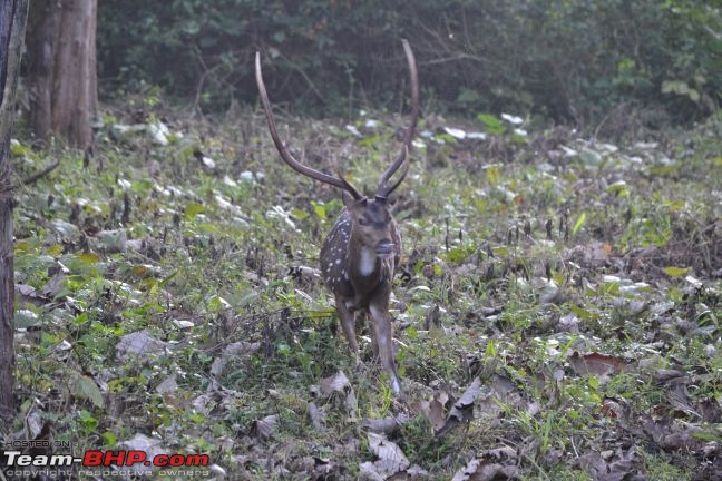 Kabini - a Photolouge-dsc_0998.jpg