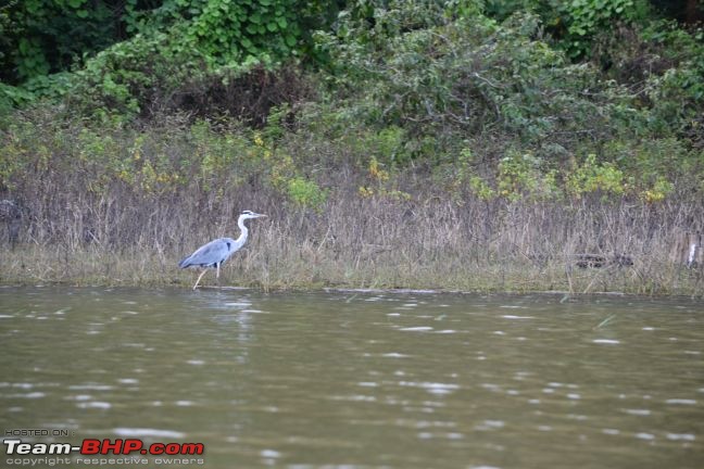 Kabini - a Photolouge-dsc_0877.jpg