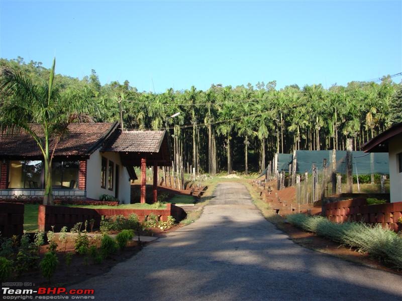 Magical Malnad - A weekend trip-view-plantation.jpg