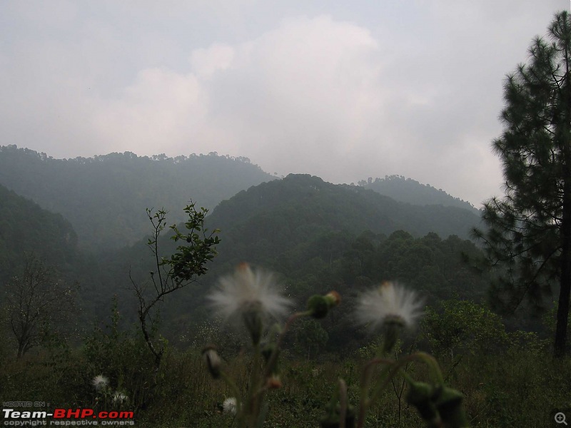 The Lakes - Nainital, Bhimtal, Naukuchiyatal, Sattal.-15.jpg