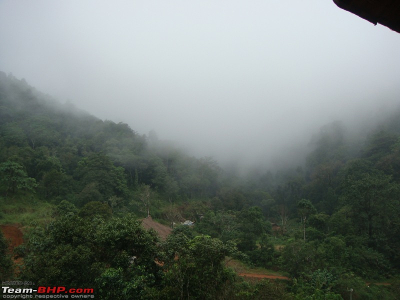 On road in Civic - destination Wayanad-dsc00120.jpg