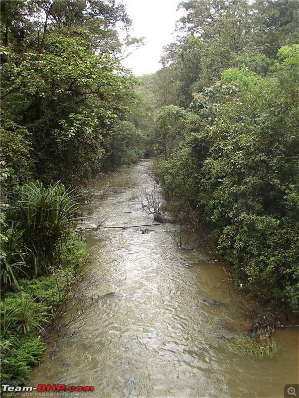 A Memorable trip to Coorg-dsc08703.jpg