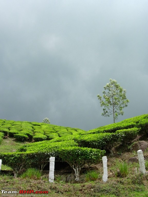 Thekkady & Munnar In A Rainy Season-20.-rain-rain-come-again-.jpg