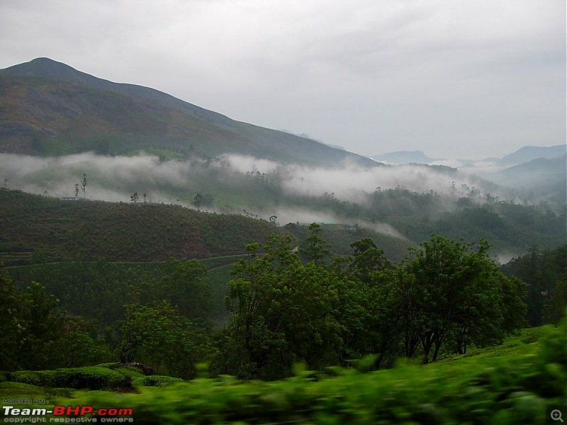 Thekkady & Munnar In A Rainy Season-24.-evening-mist-.jpg