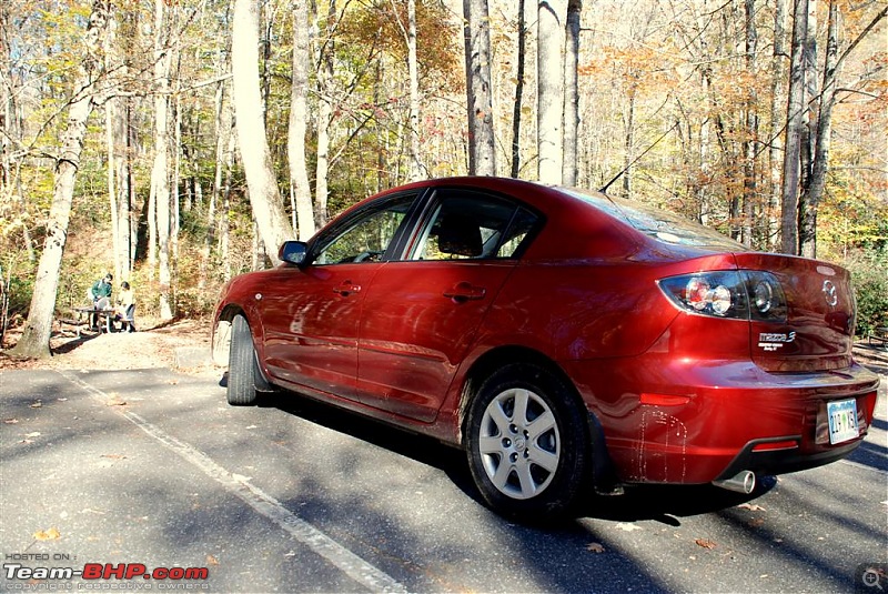 The FALLen trees, The SMOKYing Mountains, The MAZDA-dsc_0097-large.jpg