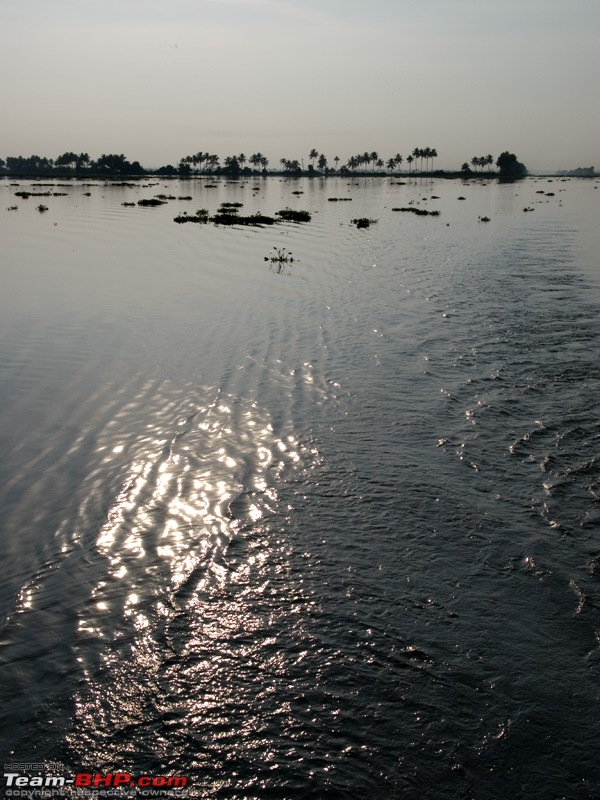 Kerala Trip: Slept on land and water this time...-p3310827.jpg