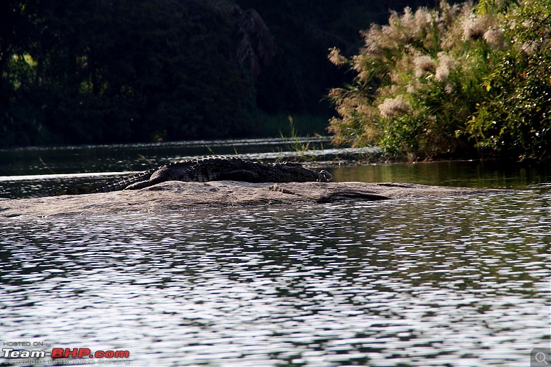 Mclarens: A quick romantic getaway to Ranganthittu & SriRangapatna!-img_1327.jpg