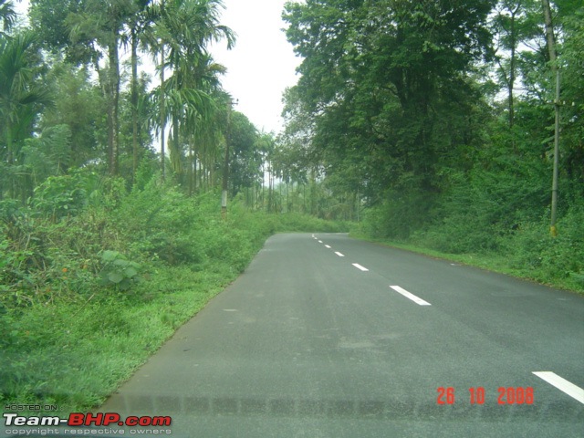 Magical Wayanad-dsc00037.jpg