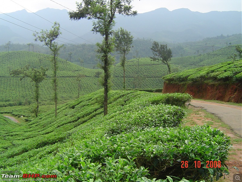 Magical Wayanad-dsc00097.jpg