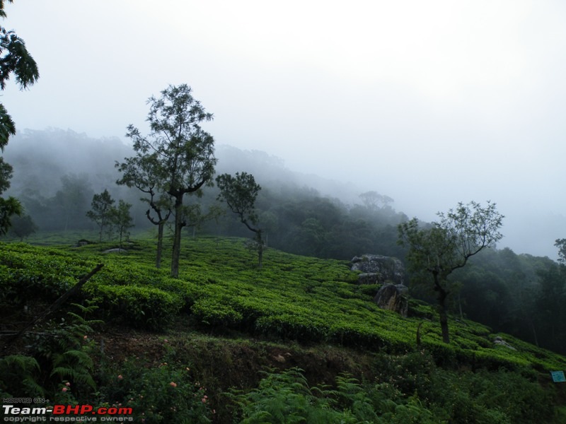 The Last TRIP in Innova before selling it - Mysore - Ooty - Coonor-dscf2791.jpg