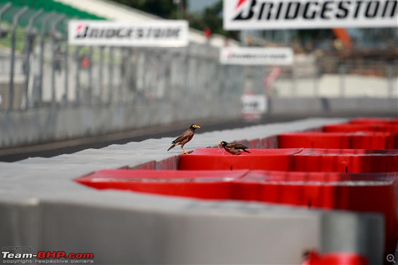 The Historic Singapore Formula One Night Grand Prix-singaporegp020.jpg