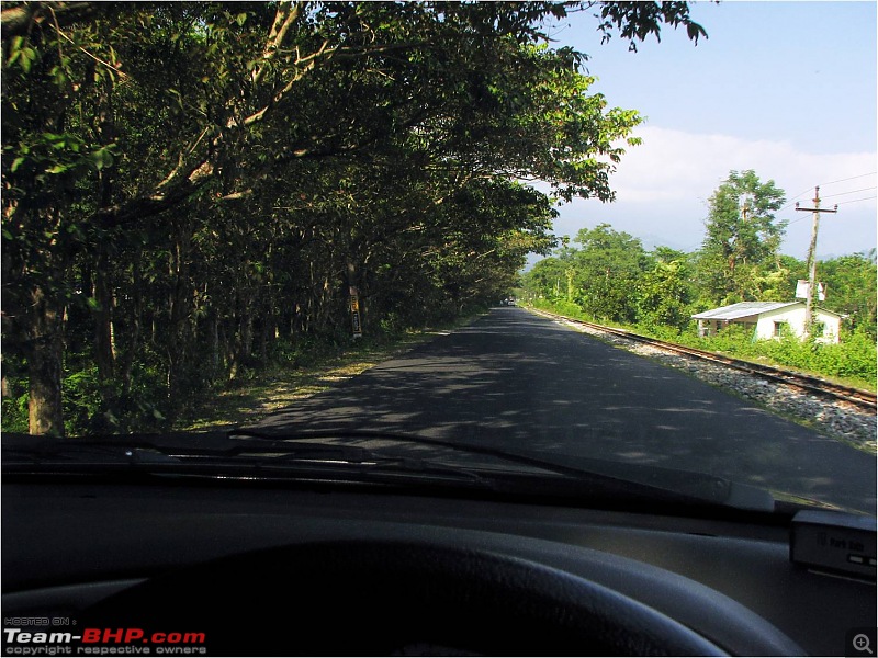 Ikon 1.6 with weak clutch takes us to Darjeeling and a few forests of North Bengal.-picture2.jpg