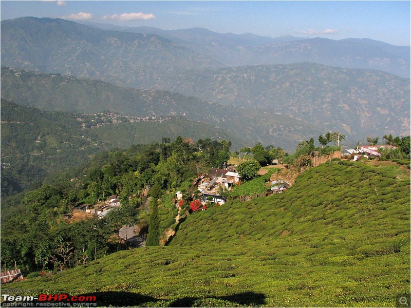 Ikon 1.6 with weak clutch takes us to Darjeeling and a few forests of North Bengal.-picture11.jpg