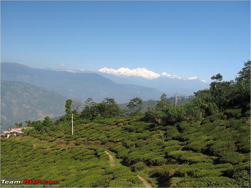 Ikon 1.6 with weak clutch takes us to Darjeeling and a few forests of North Bengal.-picture13.jpg