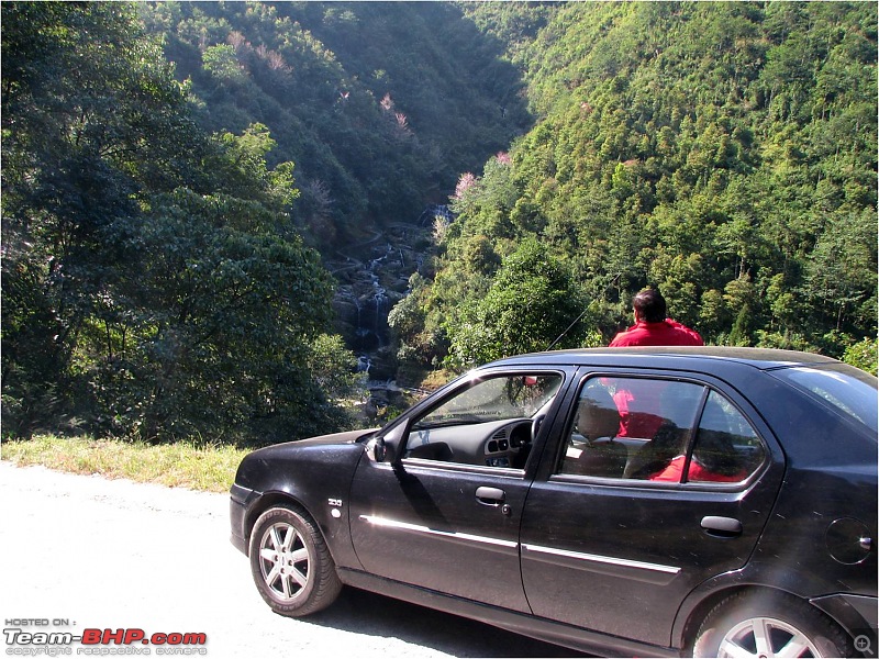 Ikon 1.6 with weak clutch takes us to Darjeeling and a few forests of North Bengal.-picture14.jpg