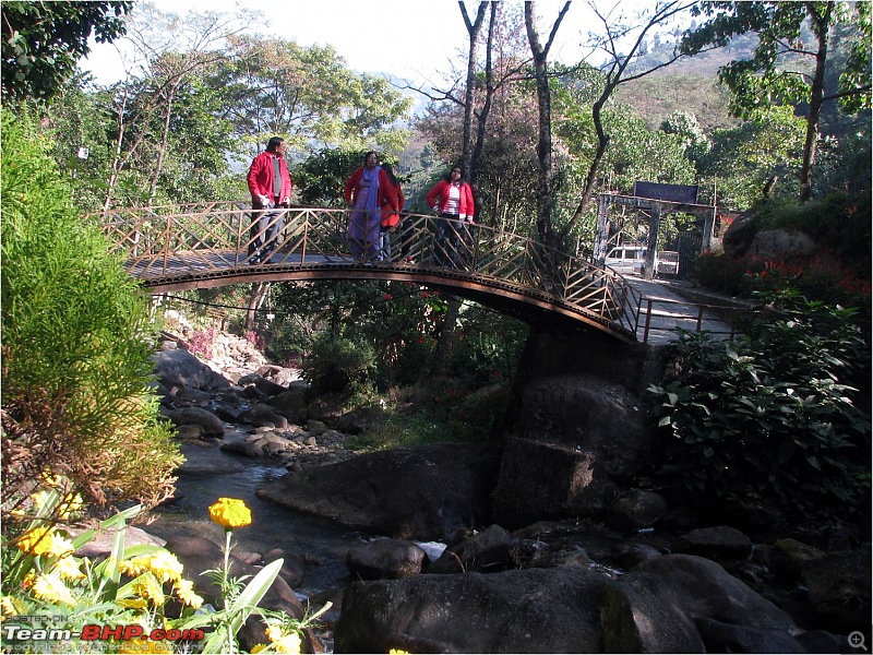 Ikon 1.6 with weak clutch takes us to Darjeeling and a few forests of North Bengal.-picture16.jpg