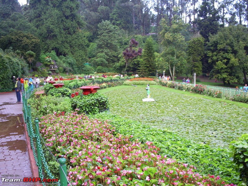 My Ooty Tour(highlighting Botannical Gardens)-4.jpg