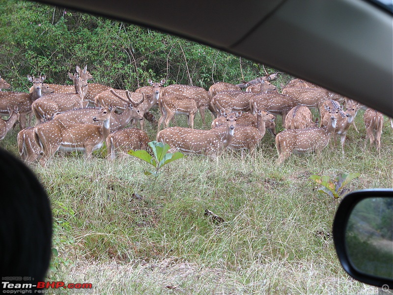 Long Weekend Trip to Ooty from Bangalore-picture-533.jpg