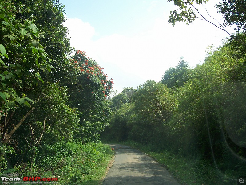 Drive through the hills of Kerala-Idukki & Munnar-100_2868.jpg