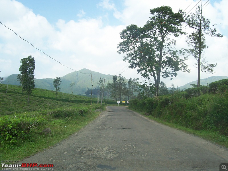 Drive through the hills of Kerala-Idukki & Munnar-100_2873.jpg