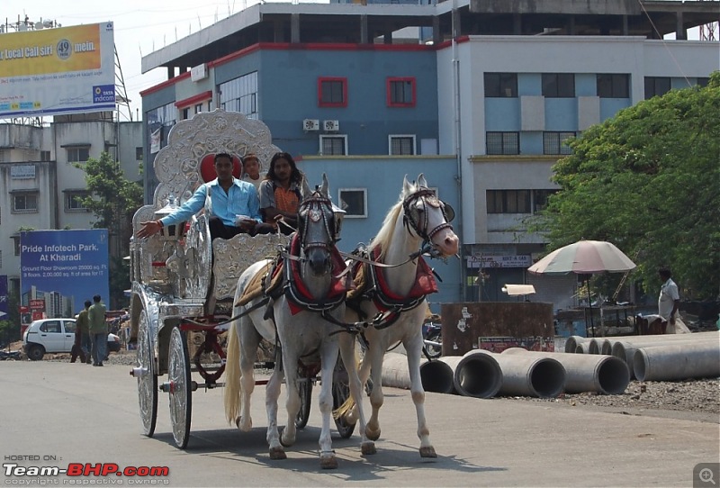 A YetiHoliday - TheOne visits India for the first time.-dsc_2439_thumb_thumb.jpg