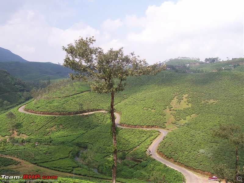 Drive through the hills of Kerala-Idukki & Munnar-100_2880.jpg