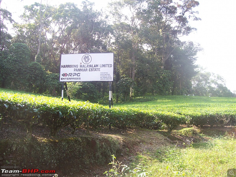 Drive through the hills of Kerala-Idukki & Munnar-100_2899.jpg