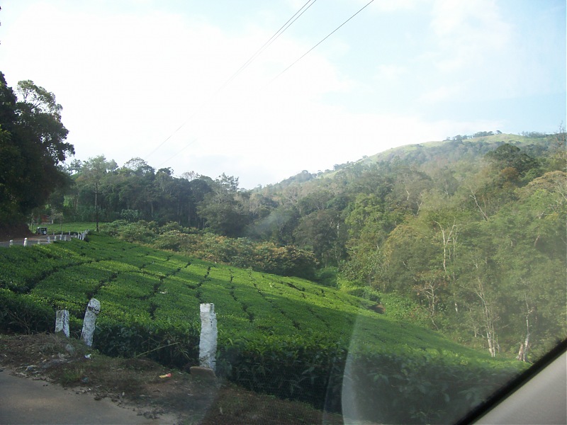 Drive through the hills of Kerala-Idukki & Munnar-100_2900.jpg