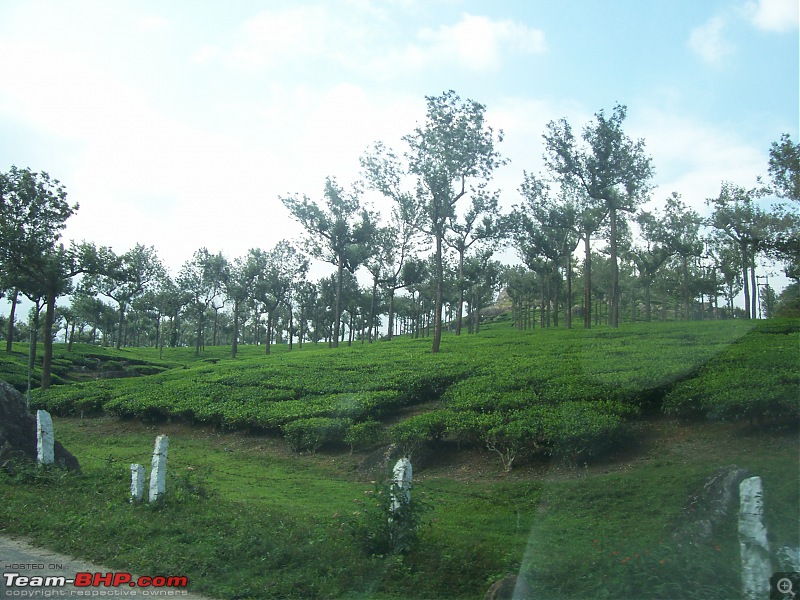 Drive through the hills of Kerala-Idukki & Munnar-100_2901.jpg