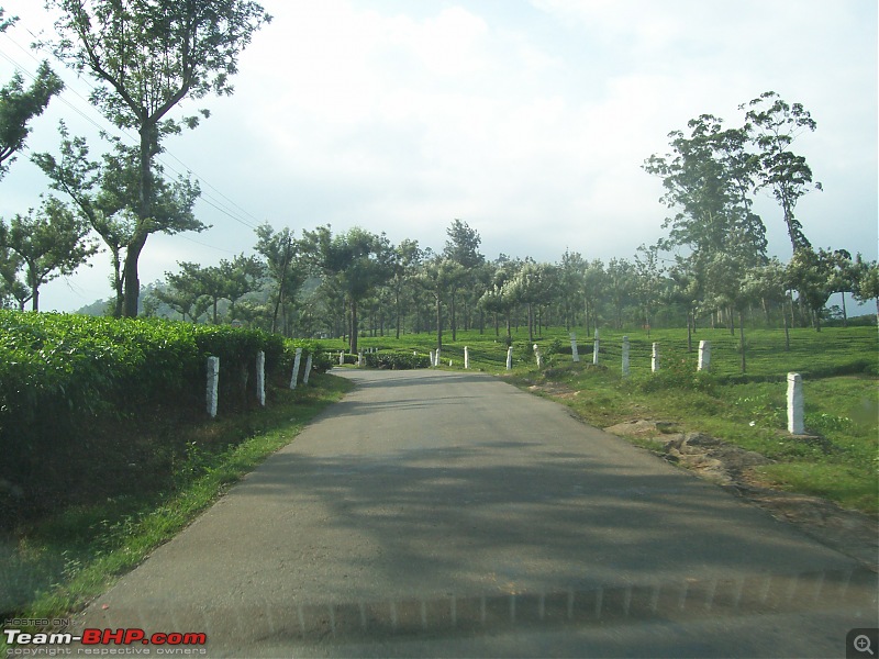 Drive through the hills of Kerala-Idukki & Munnar-100_2904.jpg