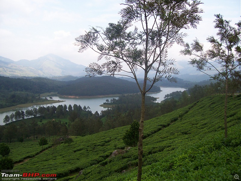 Drive through the hills of Kerala-Idukki & Munnar-100_2916.jpg