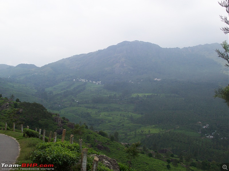 Drive through the hills of Kerala-Idukki & Munnar-100_2918.jpg