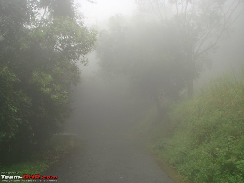 Magnificent Meenmutti & Misty Ponmudi-8.jpg