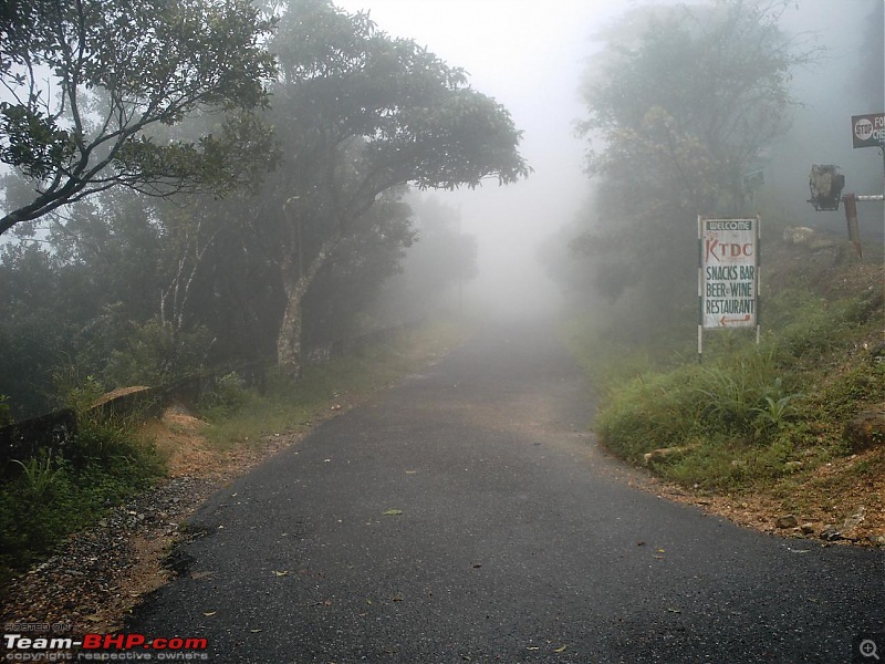 Magnificent Meenmutti & Misty Ponmudi-45.jpg